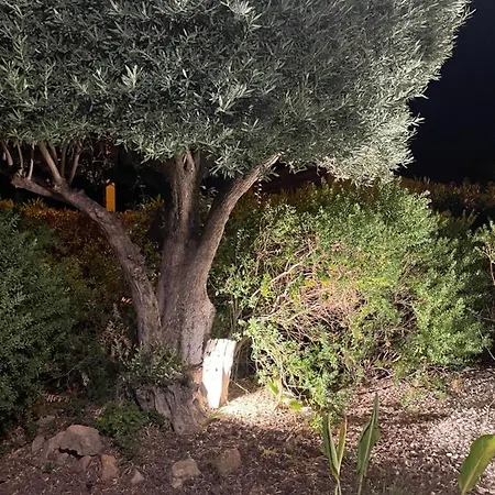 Apartmán 4 Couchages Centre Calme Wifi Gratuite Terrasse Bandol