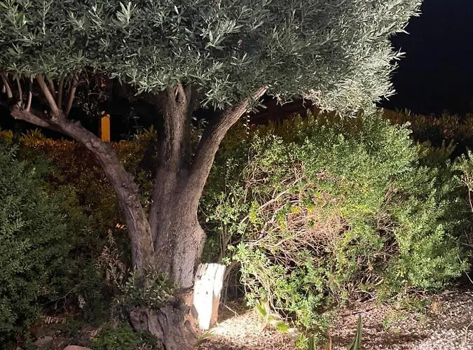 Appartamento 4 Couchages Centre Calme Wifi Gratuite Terrasse Bandol
